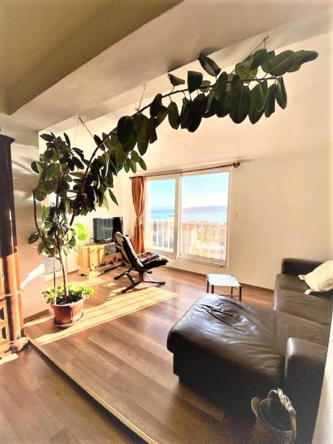 Amarante Apartments Каштела Экстерьер фото